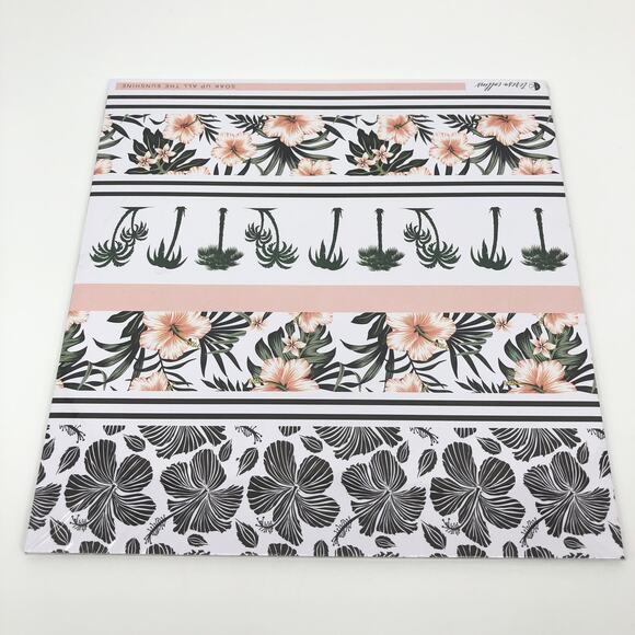 Teresa Collins Scrapbook Paper Pads 12x12 Lot 4 Scrapbooking Clear Acetate - Picture 3 of 9